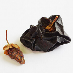 楽笑農園カームガーデン,自然栽培,鳥取,トゥルシ,ホーリーバジル