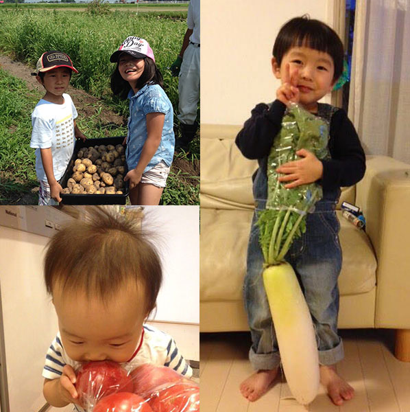 楽笑農園カームガーデン,自然栽培,鳥取,トゥルシ,ホーリーバジル