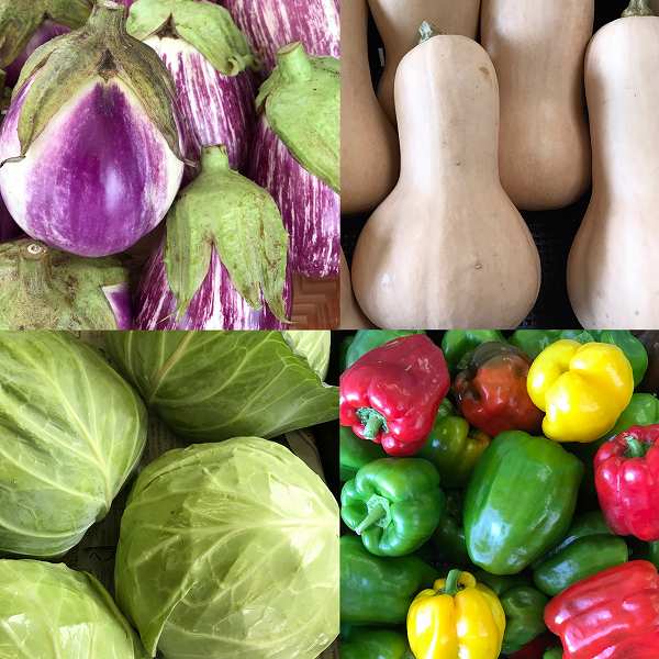 楽笑農園カームガーデン,自然栽培,鳥取,トゥルシ,ホーリーバジル