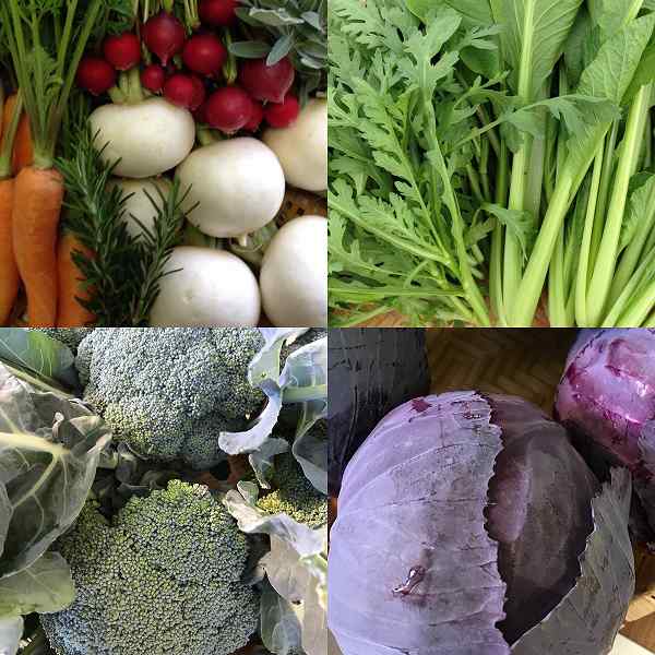 楽笑農園カームガーデン,自然栽培,鳥取,トゥルシ,ホーリーバジル