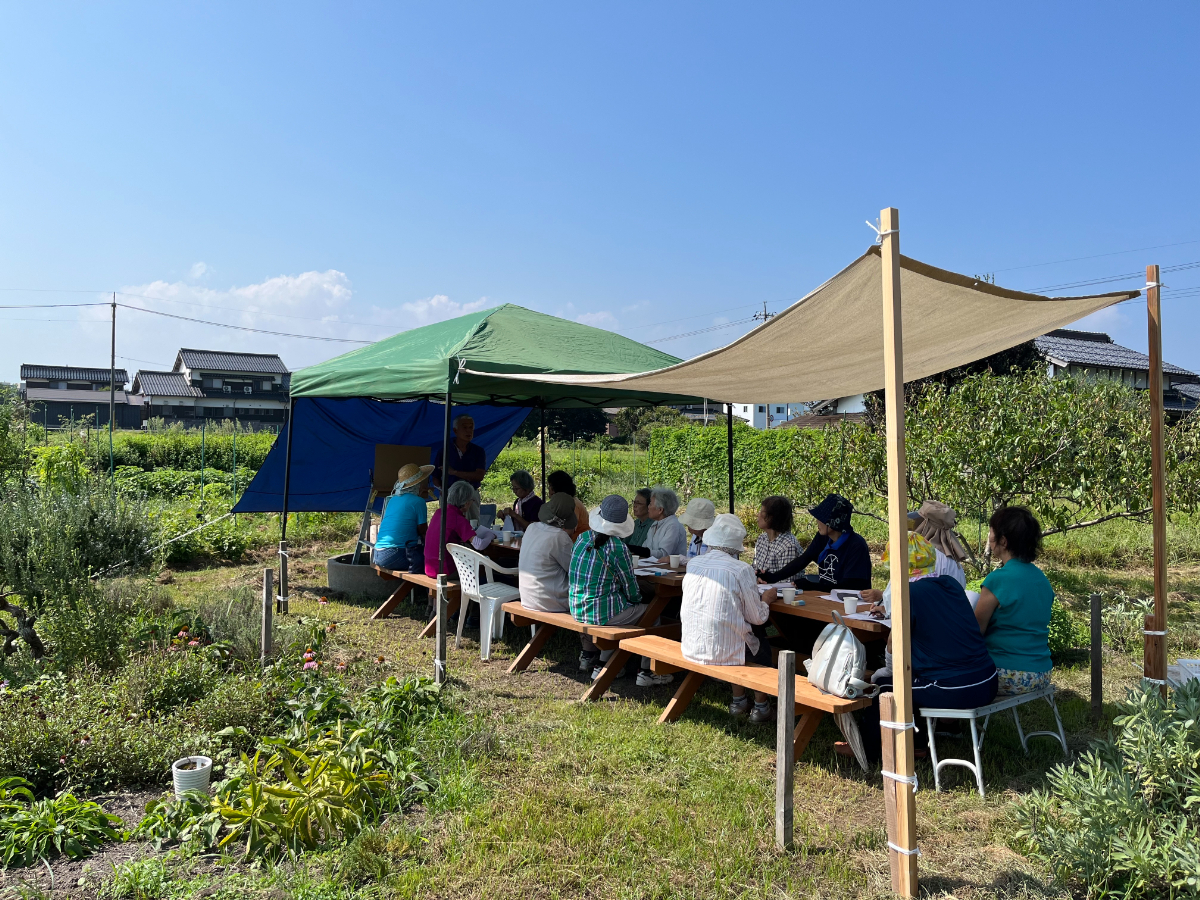 楽笑農園カームガーデン,自然栽培,鳥取,トゥルシ,ホーリーバジル