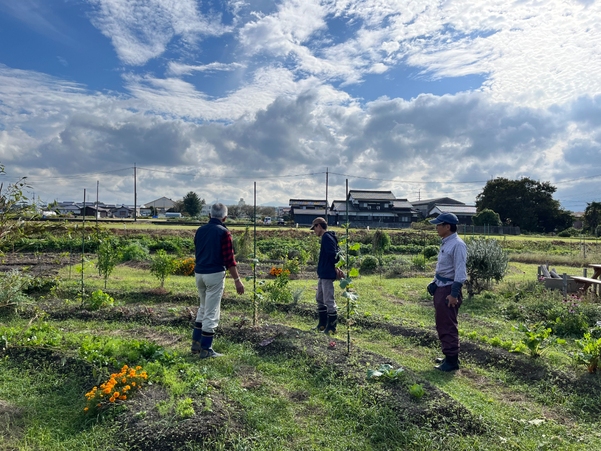 楽笑農園カームガーデン,自然栽培,鳥取,トゥルシ,ホーリーバジル