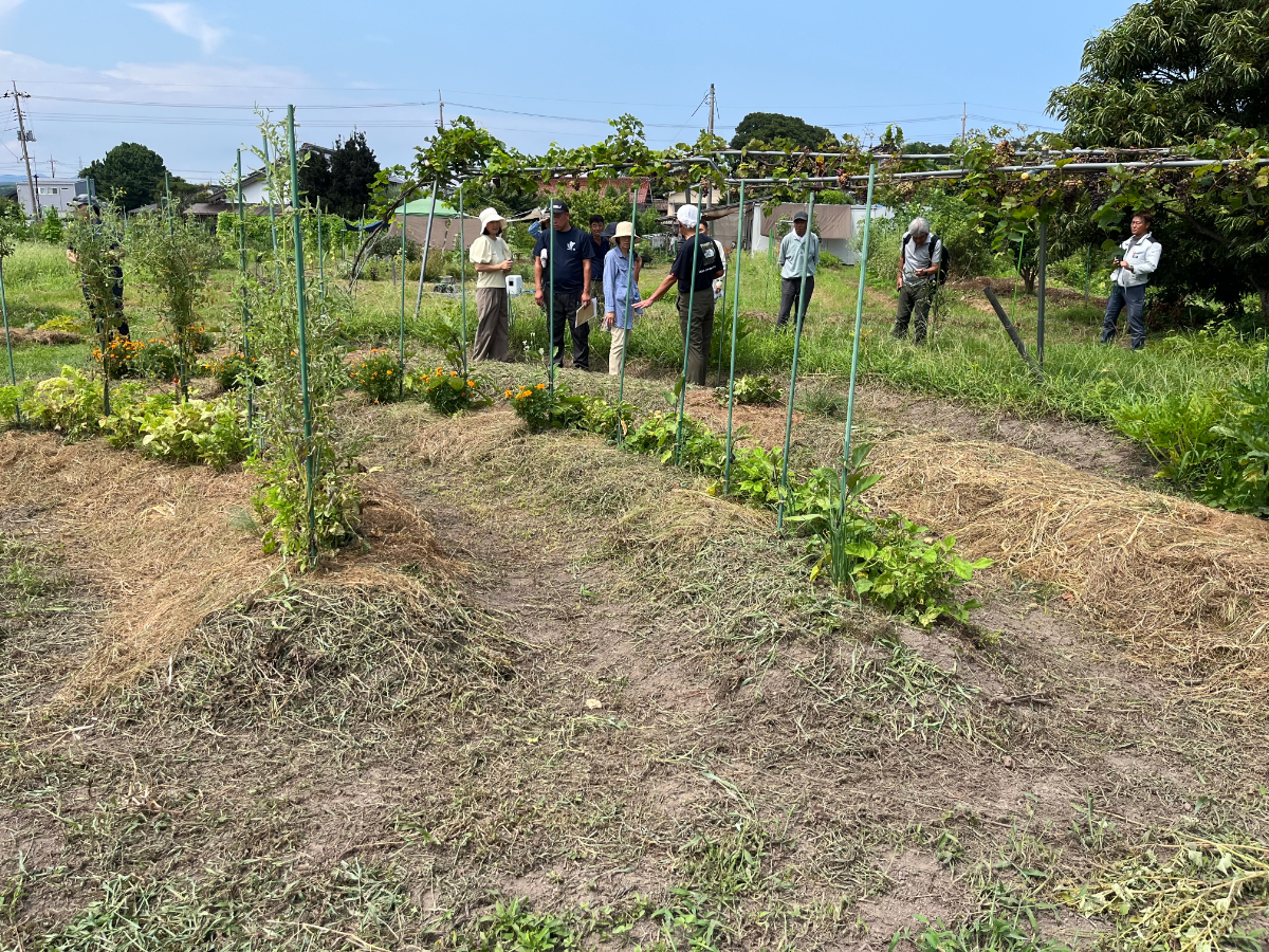 楽笑農園カームガーデン,自然栽培,鳥取,トゥルシ,ホーリーバジル